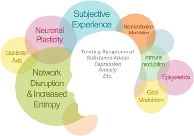 Bedside to bench: the outlook for psychedelic research